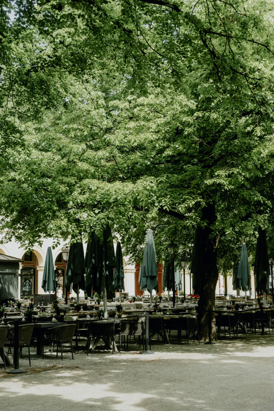 Biergarten mit Holztischen unter großen Bäumen