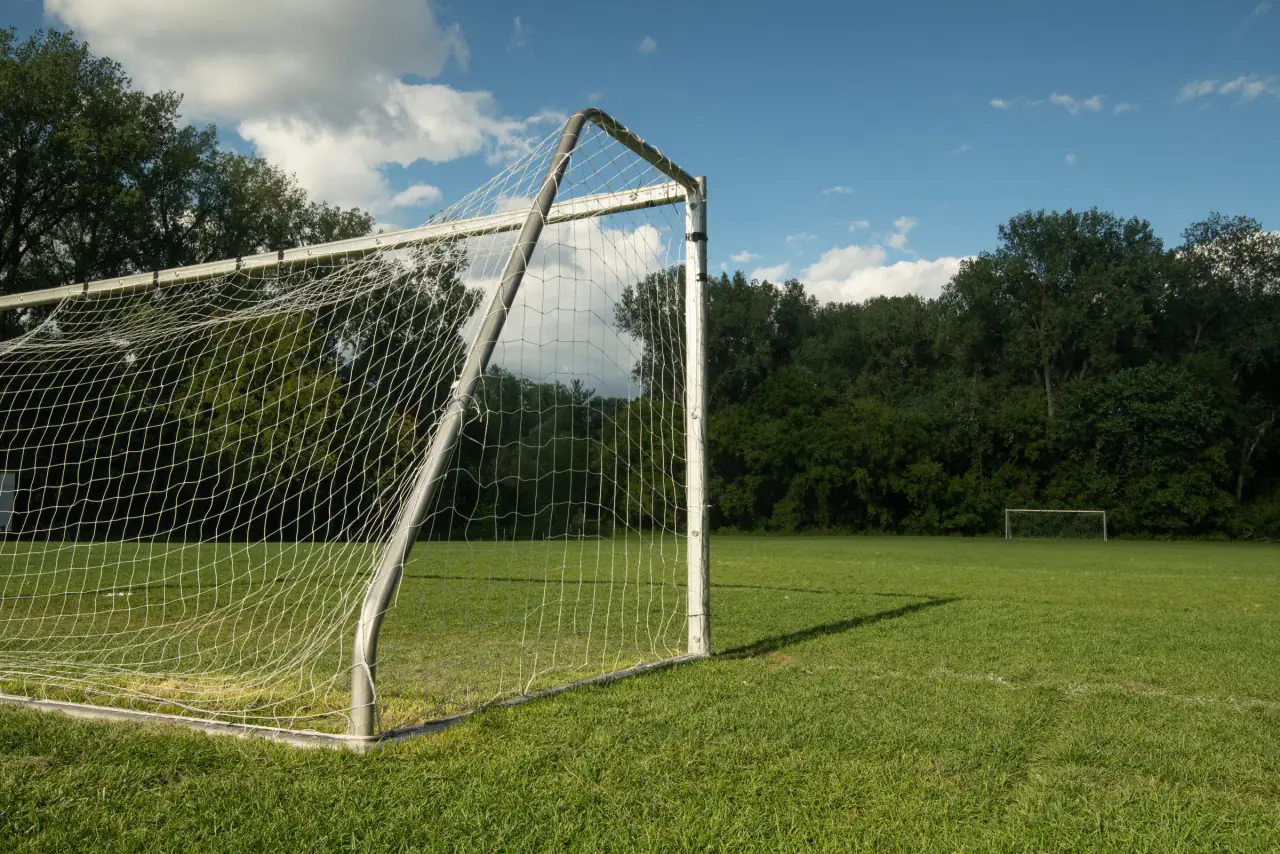 Fußballtor auf einem Rasenplatz vor Bäumen